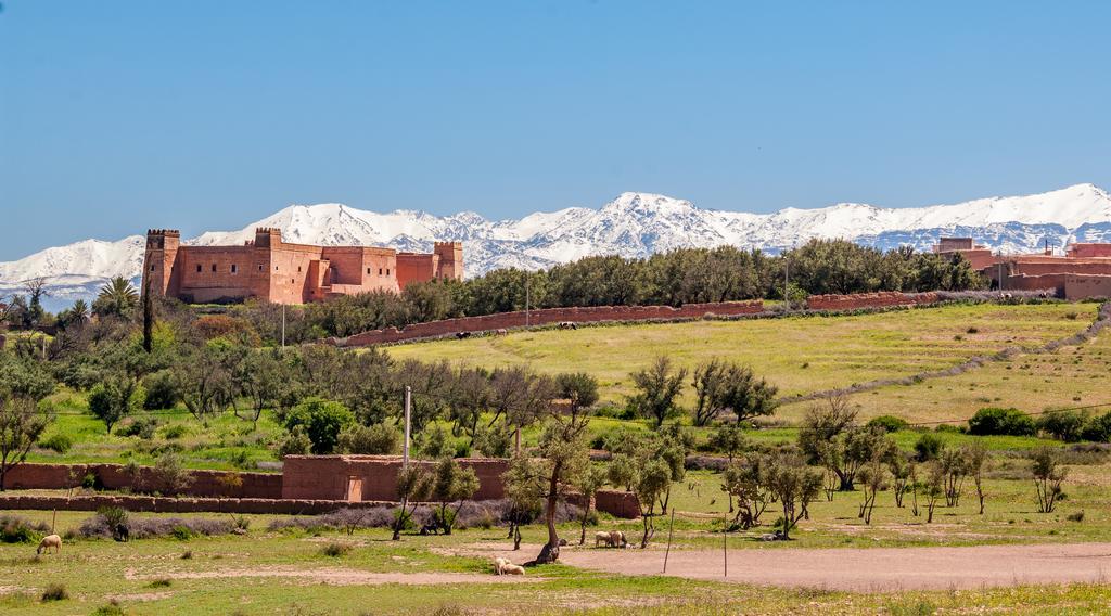 Riad Sougtani Tazrou ภายนอก รูปภาพ